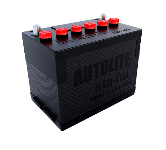 LT-S24F Lithium Battery